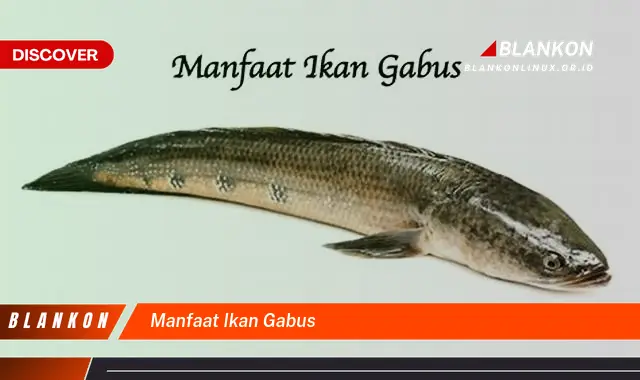 manfaat ikan gabus