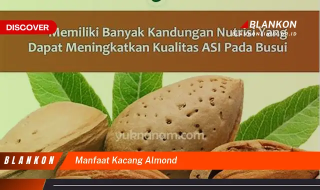 manfaat kacang almond