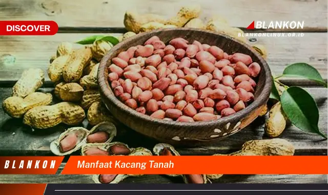 manfaat kacang tanah