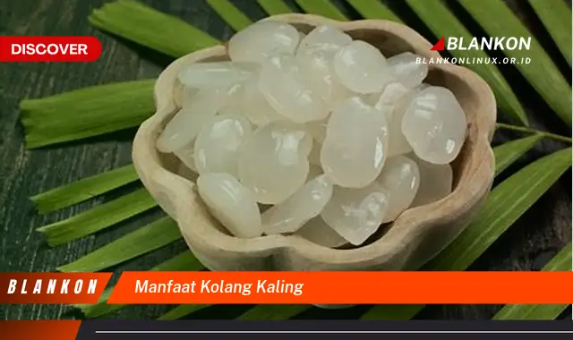 manfaat kolang kaling