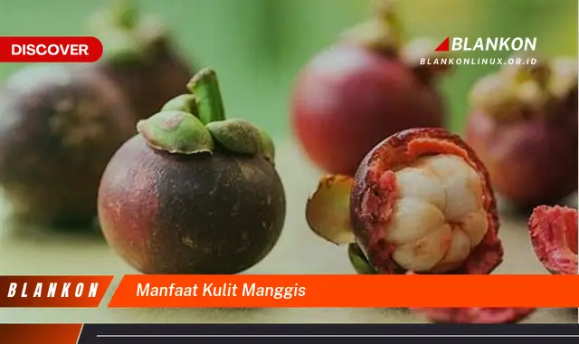 manfaat kulit manggis