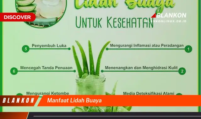 manfaat lidah buaya