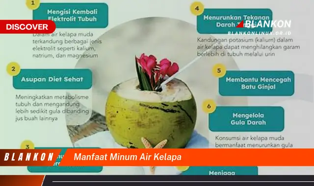 manfaat minum air kelapa