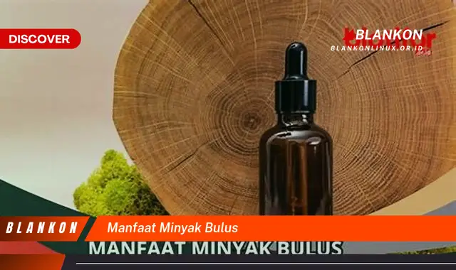 manfaat minyak bulus