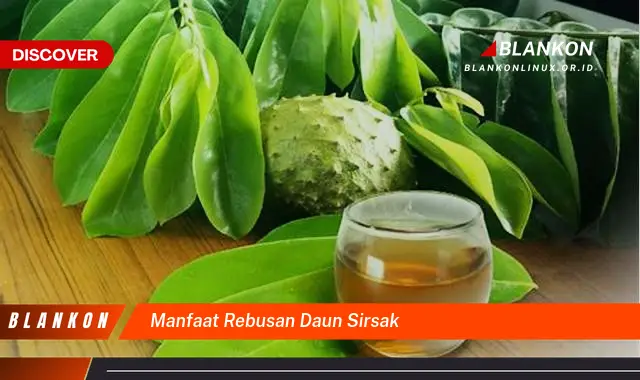 manfaat rebusan daun sirsak