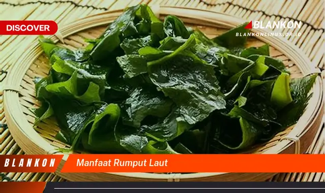 manfaat rumput laut