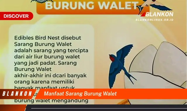 manfaat sarang burung walet