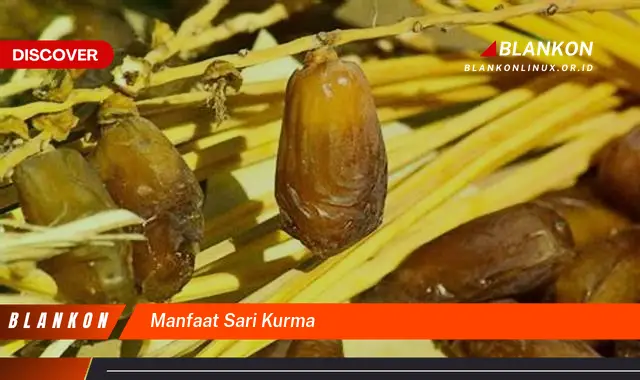 manfaat sari kurma