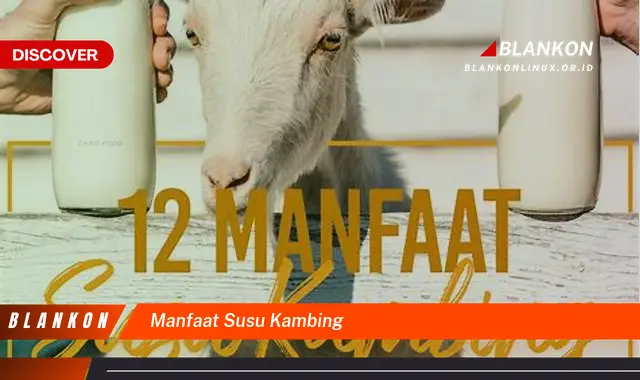 manfaat susu kambing