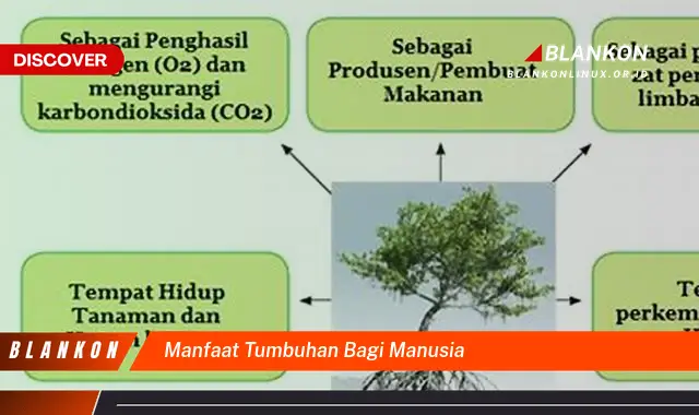 manfaat tumbuhan bagi manusia