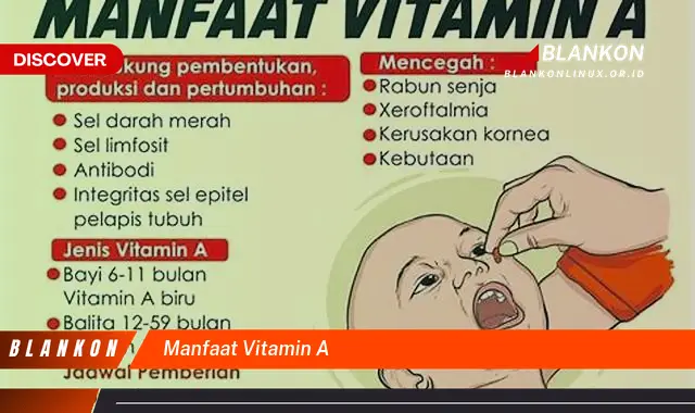 manfaat vitamin a