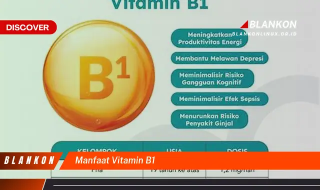 manfaat vitamin b1