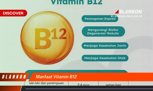 manfaat vitamin b12